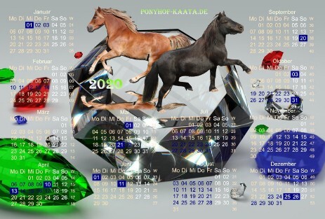 Ponyhof Kalender Kaata 2020