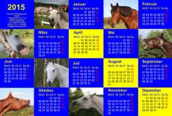 Ponyhof Kalender Kaata 2015