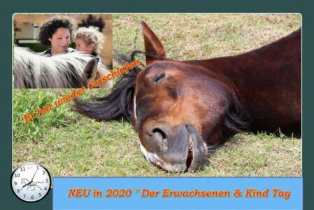 Mit Mutti oder Oma zum Pony gemeinsam erleben